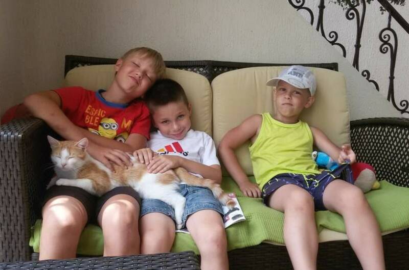 Изображение Изображение гостиницы &quot;Гостевой дом «Белоснежка»&quot; #8 #8