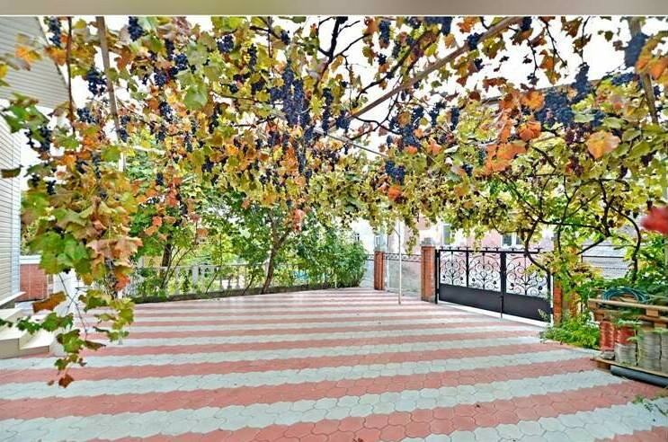 Изображение Изображение гостиницы &quot;Гостевой дом «На Майкопской»&quot; #7 #7