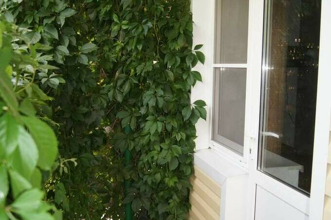 Изображение Изображение гостиницы &quot;Гостевой дом «Арина»&quot; #4 #4