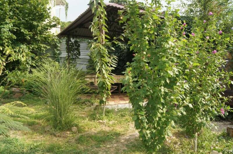 Изображение Изображение гостиницы &quot;Гостевой дом «Арина»&quot; #5 #5