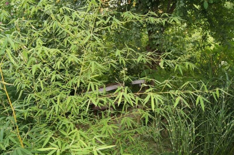 Изображение Изображение гостиницы &quot;Гостевой дом «Арина»&quot; #7 #7