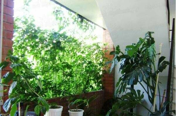 Изображение Изображение отеля / гостиницы "Гостевой дом «Арина»" #10 #8