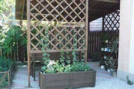 Изображение Изображение гостиницы "Частный сектор «У Алексея»" #6 #6