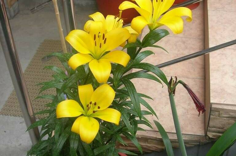 Изображение Изображение гостиницы "Гостевой дом «Берег мечты»" #7 #7