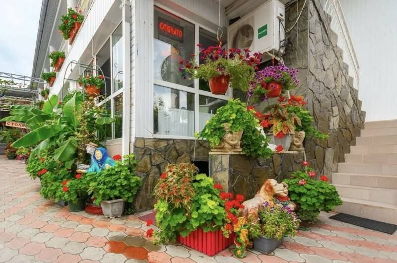 Изображение Изображение гостиницы &quot;Гостевой дом «Оазис»&quot; #8 #8