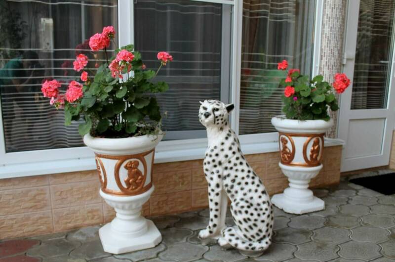 Изображение Изображение отеля / гостиницы "Гостевой дом «Оазис»" #10 #8