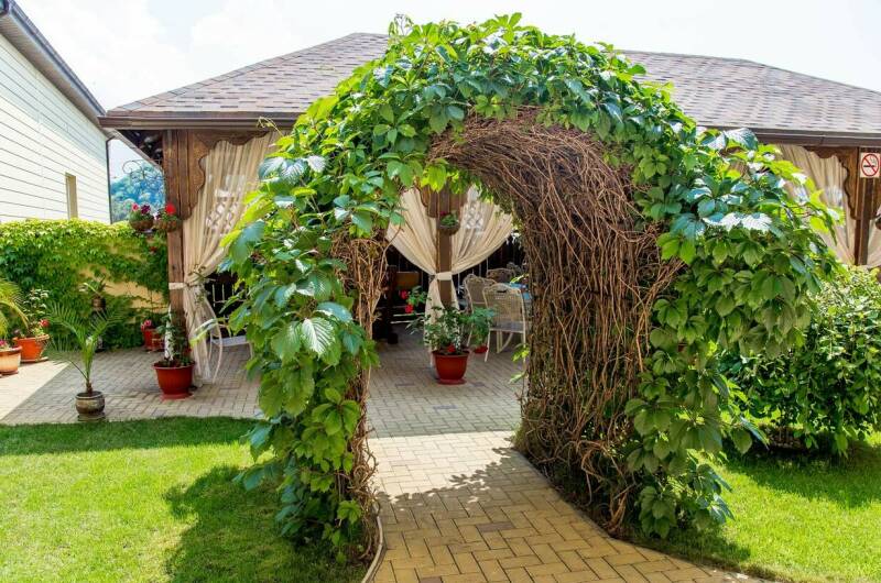 Изображение Изображение гостиницы &quot;Отель «Гранд-Астери»&quot; #3 #3