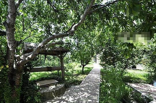 Изображение Изображение гостиницы &quot;Гостевой дом «Черешневый сад»&quot; #3 #3