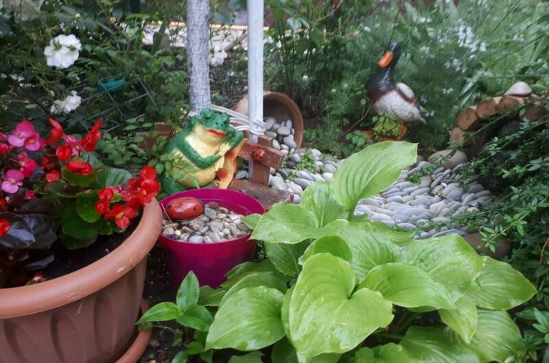 Изображение Изображение гостиницы "Частный сектор «На Луговой»" #3 #3