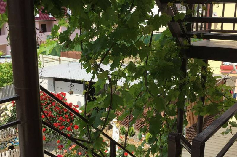 Изображение Изображение гостиницы &quot;Гостевой дом «Светлана»&quot; #5 #5