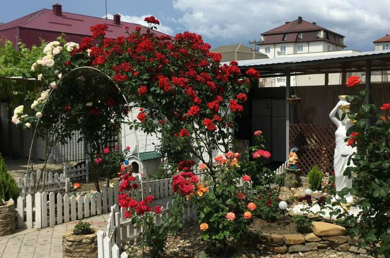 Изображение Изображение гостиницы &quot;Гостевой дом «Светлана»&quot; #7 #7