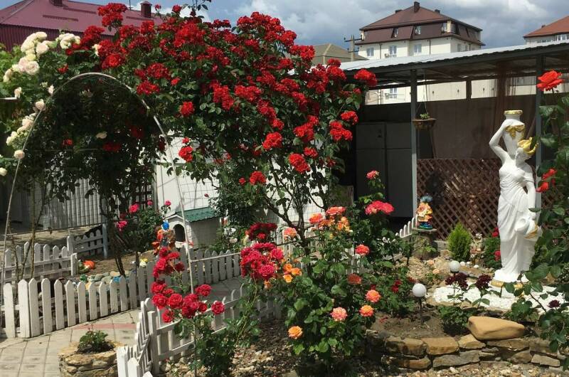 Изображение Изображение отеля / гостиницы "Гостевой дом «Светлана»" #10 #8