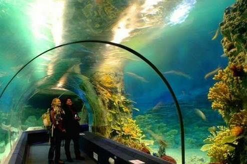 Изображение Изображение отеля / гостиницы "Мини-гостиница «Виктория»" #10 #8