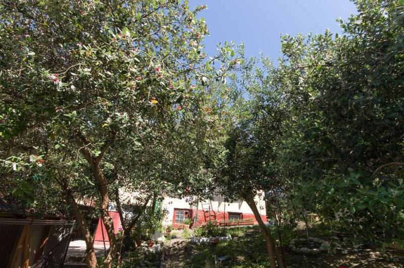 Изображение Изображение гостиницы "Частный сектор «Ася-Мечта»" #7 #7