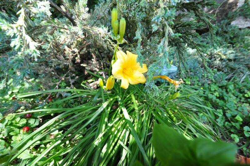 Изображение Изображение отеля / гостиницы "Гостевой дом «Анастасия»" #10 #8