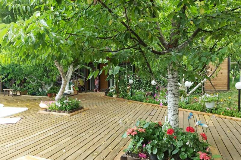 Изображение Изображение гостиницы &quot;Гостевой дом «Персиковый сад»&quot; #5 #5