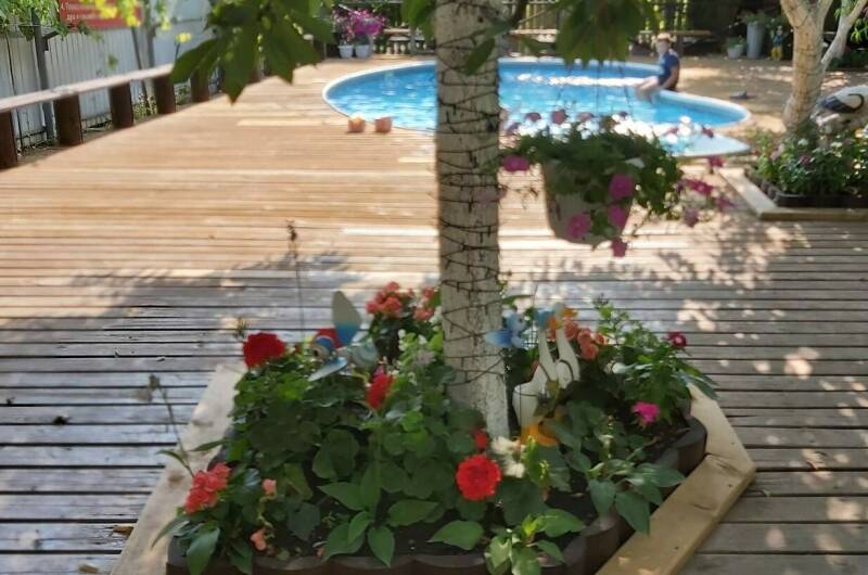 Изображение Изображение отеля / гостиницы "Гостевой дом «Персиковый сад»" #11 #9