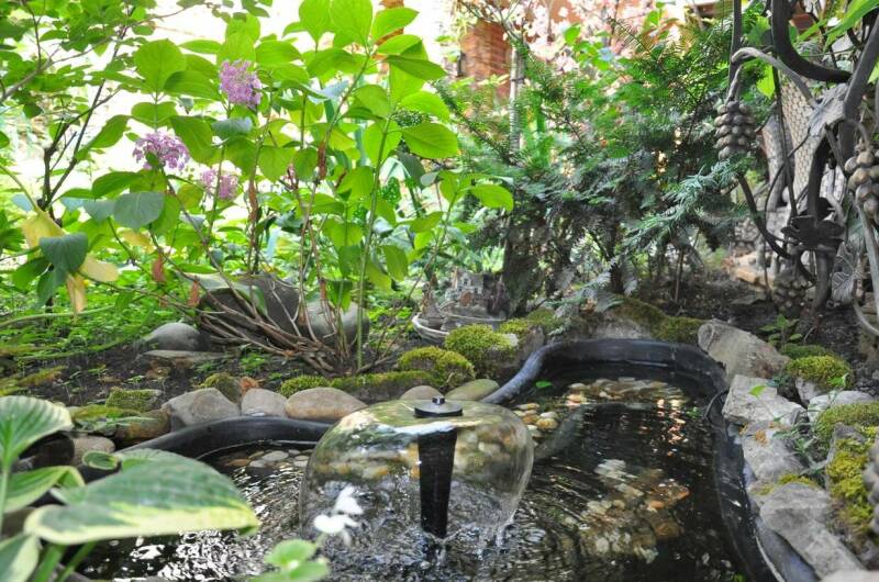 Изображение Изображение гостиницы &quot;Доходный дом «Маргаритка»&quot; #2 #2