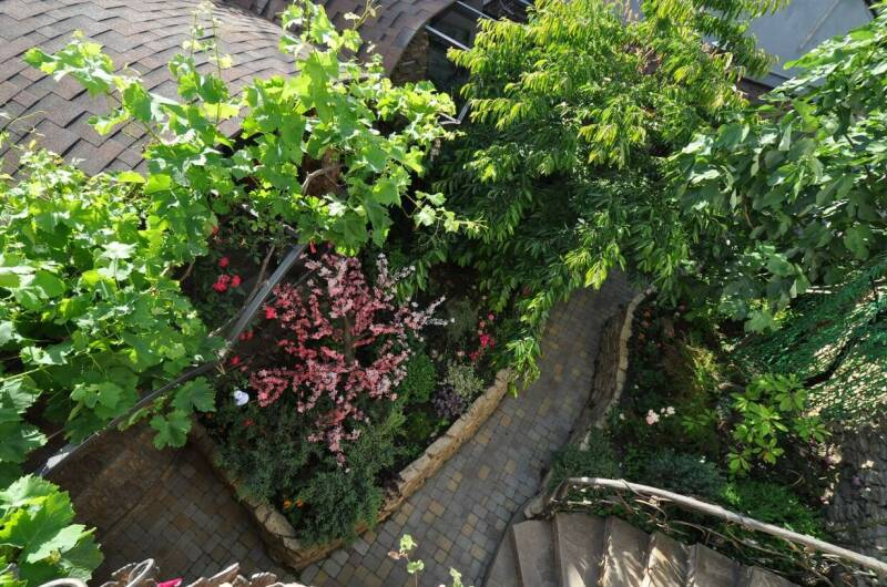 Изображение Изображение отеля / гостиницы "Доходный дом «Маргаритка»" #10 #8