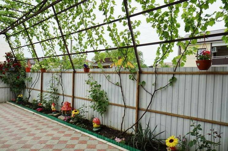 Изображение Изображение гостиницы &quot;Гостевой дом «Алина»&quot; #6 #6