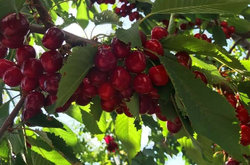 Изображение Изображение гостиницы &quot;Частный отель «У моря»&quot; #3 #3