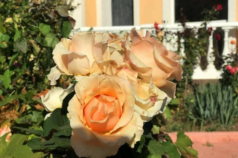 Изображение Изображение гостиницы &quot;Частный отель «У моря»&quot; #8 #8