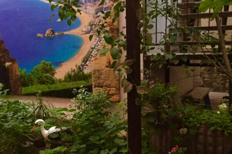 Изображение Изображение отеля / гостиницы "Частный сектор «Валентина»" #10 #8