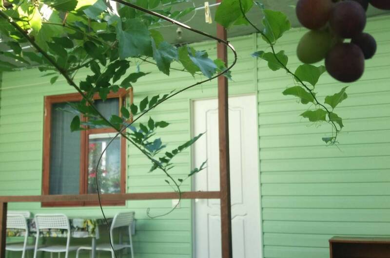 Изображение Изображение гостиницы "Гостевой дом «Лето»" #8 #8