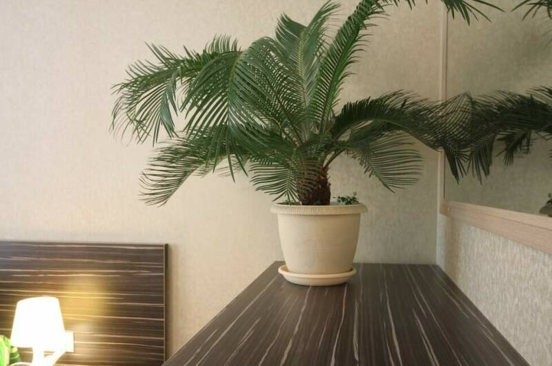 Изображение Изображение отеля / гостиницы "Частный дом «Novikoff»" #11 #9