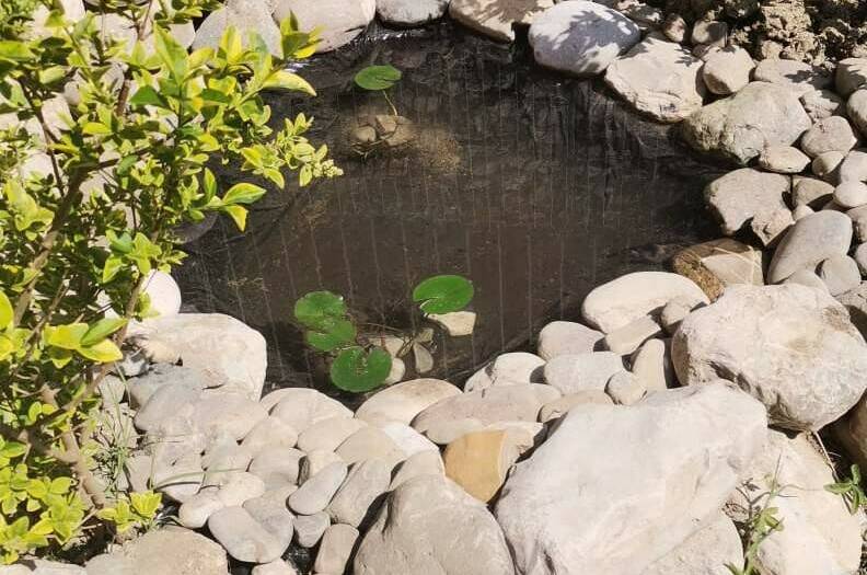 Изображение Изображение гостиницы "Гостевой дом «Костилья»" #5 #5