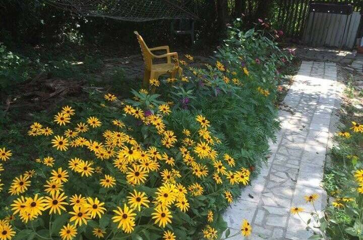 Изображение Изображение отеля / гостиницы "Гостевой дом «Костилья»" #10 #8