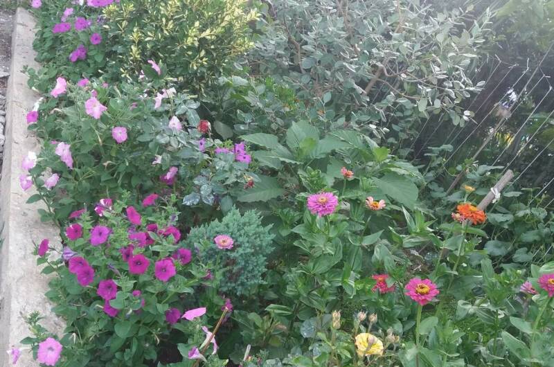 Изображение Изображение отеля / гостиницы "Гостевой дом «У Эммы»" #10 #8