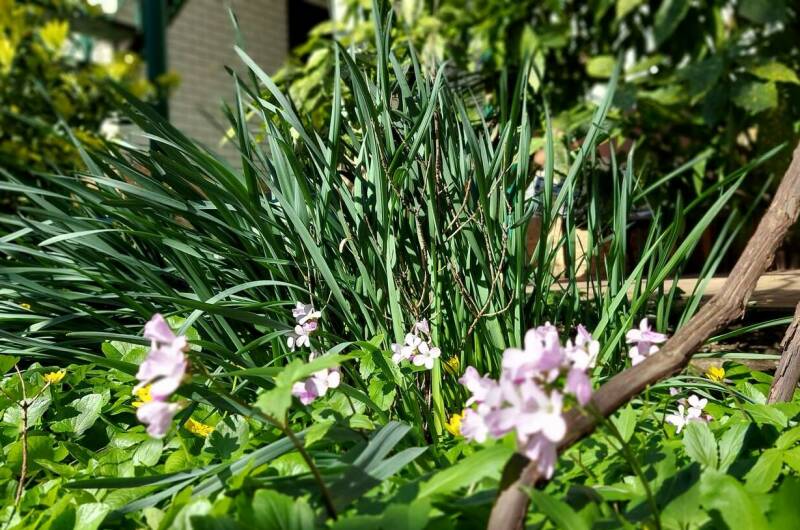 Изображение Изображение гостиницы "Гостевой дом «У Степаныча»" #8 #8