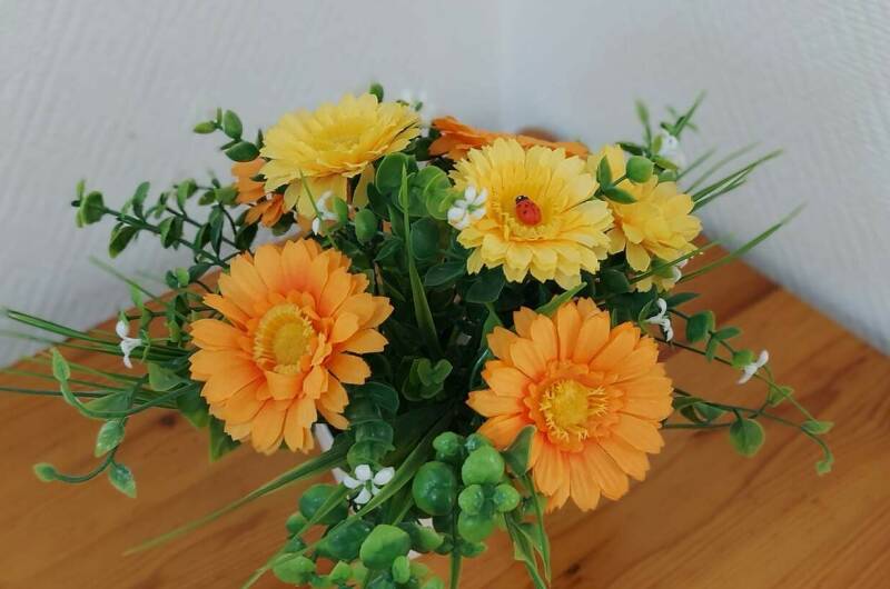 Изображение Изображение отеля / гостиницы "Гостевой дом «У Степаныча»" #11 #9