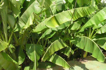 Изображение Изображение гостиницы "Гостевой дом «Лазурит»" #2 #2