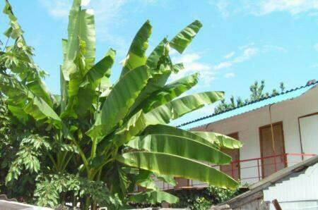 Изображение Изображение гостиницы "Гостевой дом «Лазурит»" #7 #7