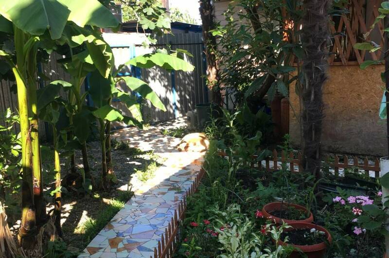 Изображение Изображение отеля / гостиницы "Гостевой дом «Лазурит»" #11 #9