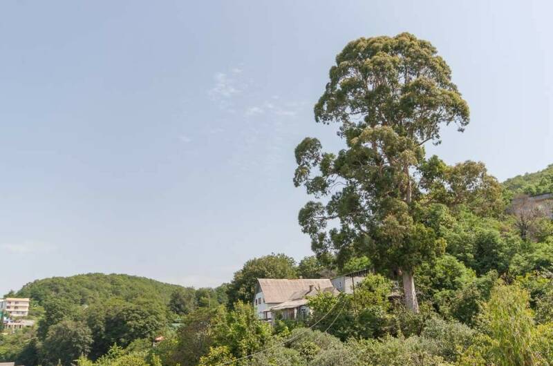 Изображение Изображение гостиницы "Гостевой дом «Надежда»" #2 #2