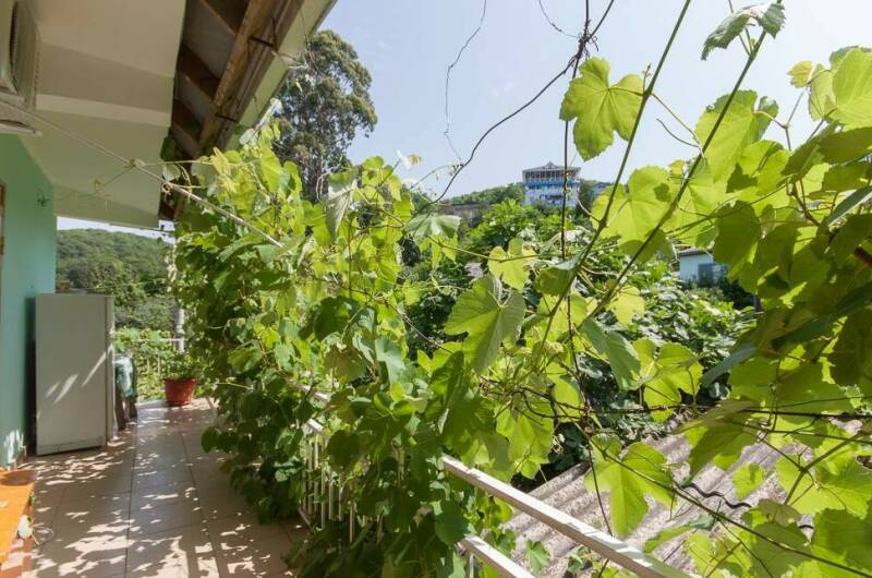 Изображение Изображение гостиницы "Гостевой дом «Надежда»" #6 #6