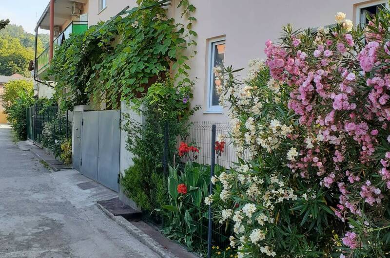 Изображение Изображение гостиницы "Гостевой дом «Изюминка»" #1 #1