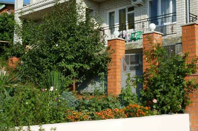 Изображение Изображение гостиницы "Гостевой дом «Азалия»" #1 #1