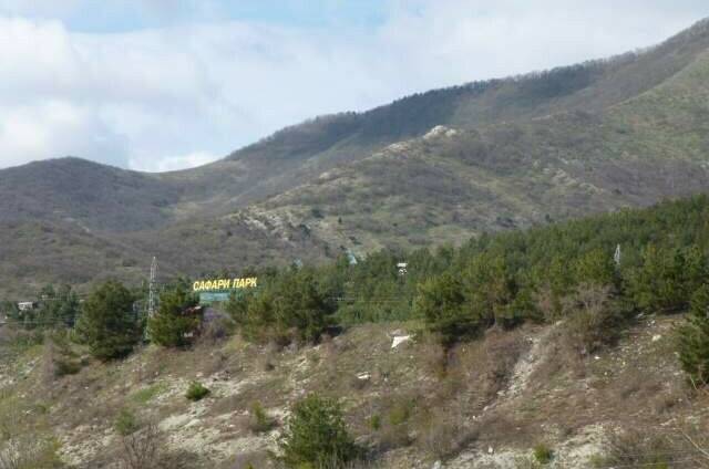 Изображение Изображение отеля / гостиницы "Гостевой дом «Азалия»" #11 #9