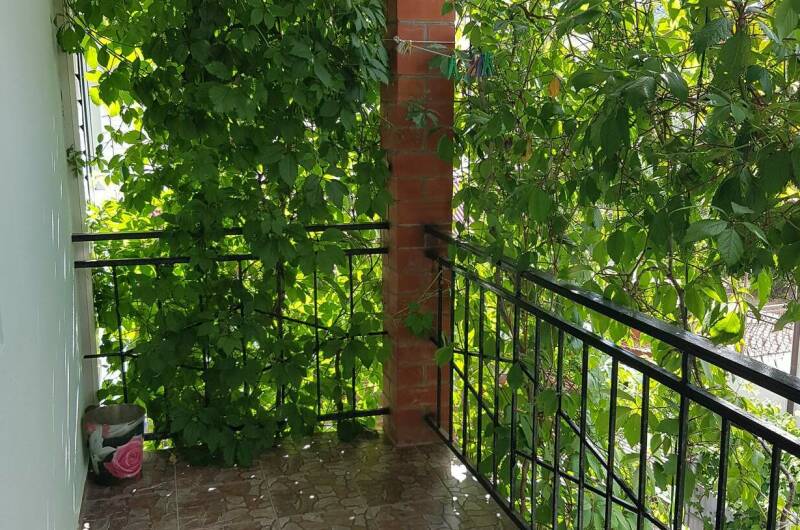 Изображение Изображение гостиницы "Гостевой дом «У Андрея»" #7 #7