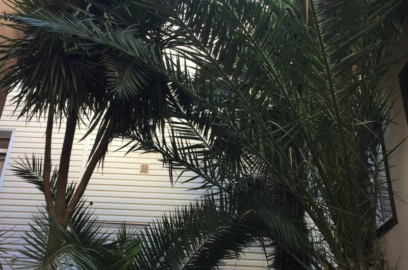 Изображение Изображение гостиницы "Гостиница «Галина»" #5 #5