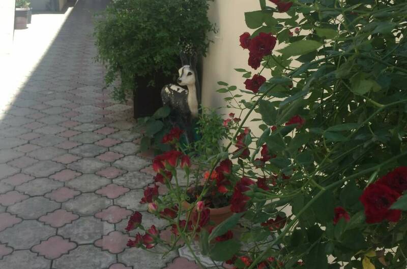 Изображение Изображение гостиницы "Гостиница «Галина»" #6 #6