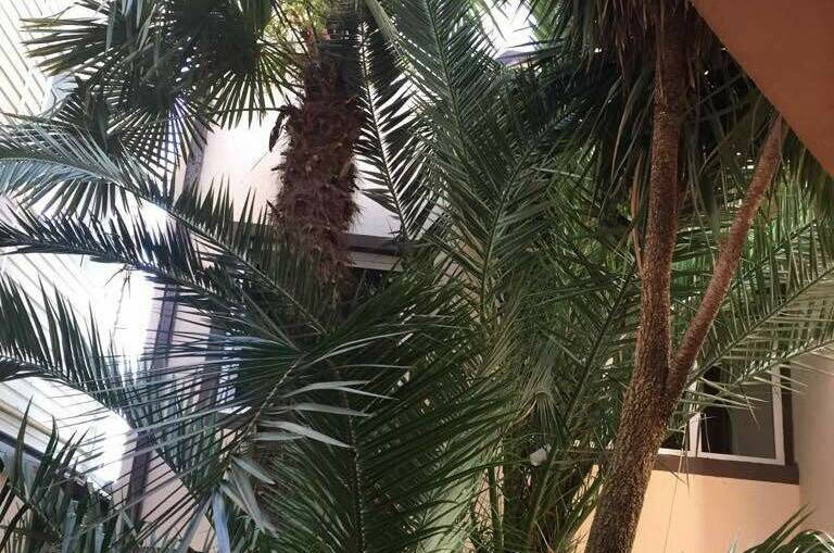 Изображение Изображение гостиницы "Гостиница «Галина»" #7 #7