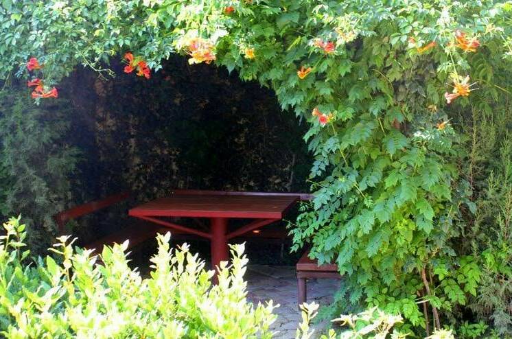 Изображение Изображение гостиницы &quot;Гостевой дом «Бунгало у Романа»&quot; #4 #4