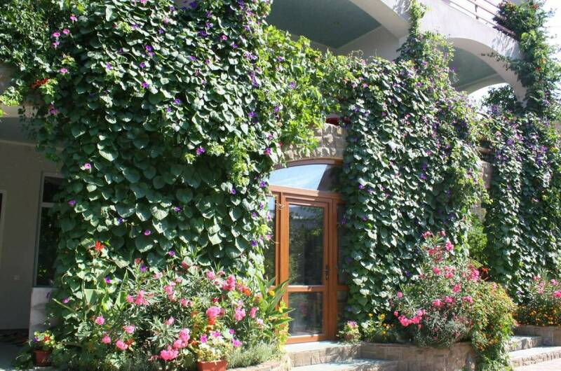 Изображение Изображение гостиницы &quot;Гостевой дом «Бунгало у Романа»&quot; #5 #5