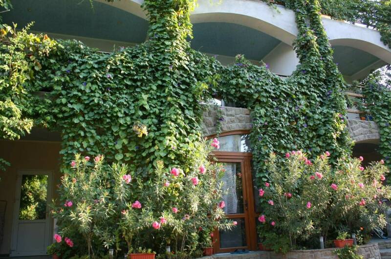 Изображение Изображение гостиницы &quot;Гостевой дом «Бунгало у Романа»&quot; #8 #8