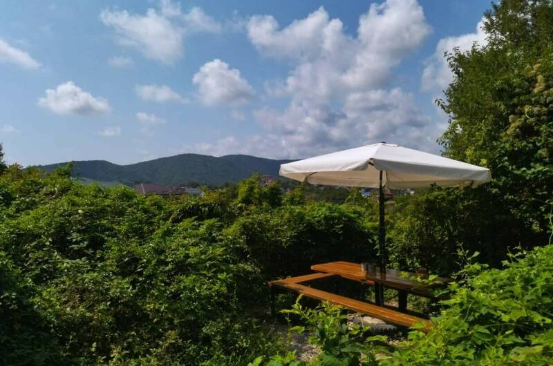 Изображение Изображение отеля / гостиницы "Гостевой дом «Баунти»" #10 #8